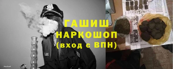 apvp Бородино