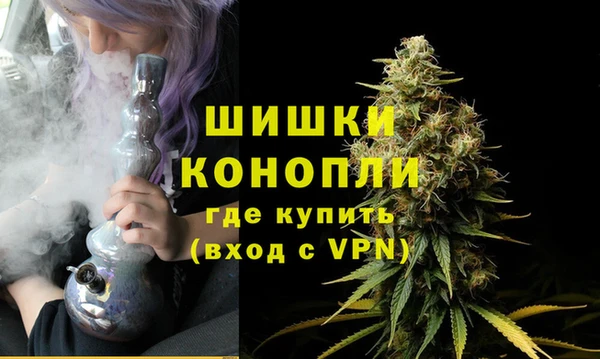 apvp Бородино