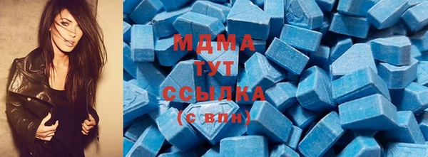 apvp Бородино