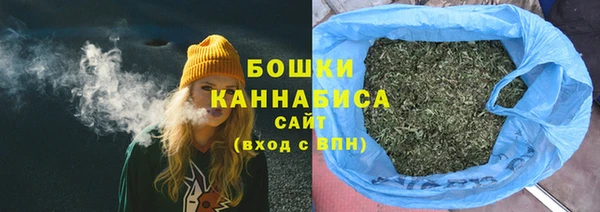 молекула духа Бронницы